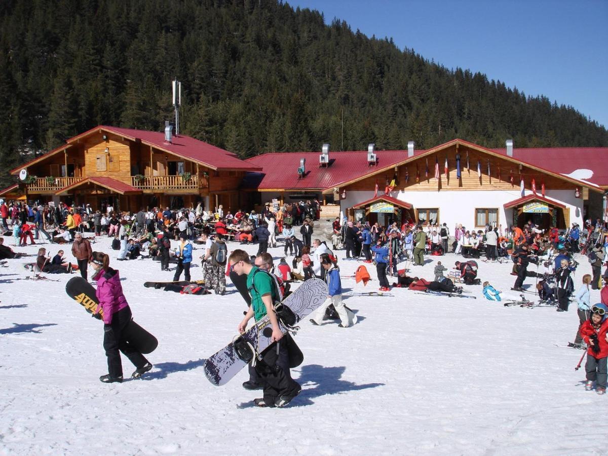 Skiing, Walking, Enjoying In Mountains Bansko Exterior photo